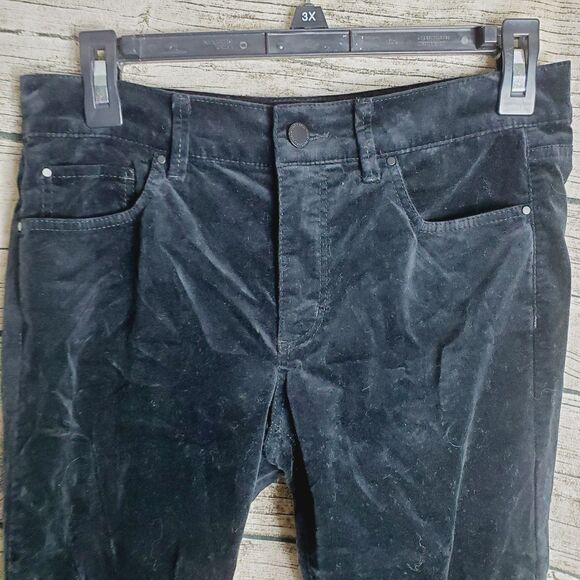 Ann Taylor Petite Velvet The Skinny Modern Pants Size 6P - Picture 2 of 7